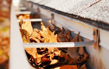 Coniston Cold gutter cleaning companies